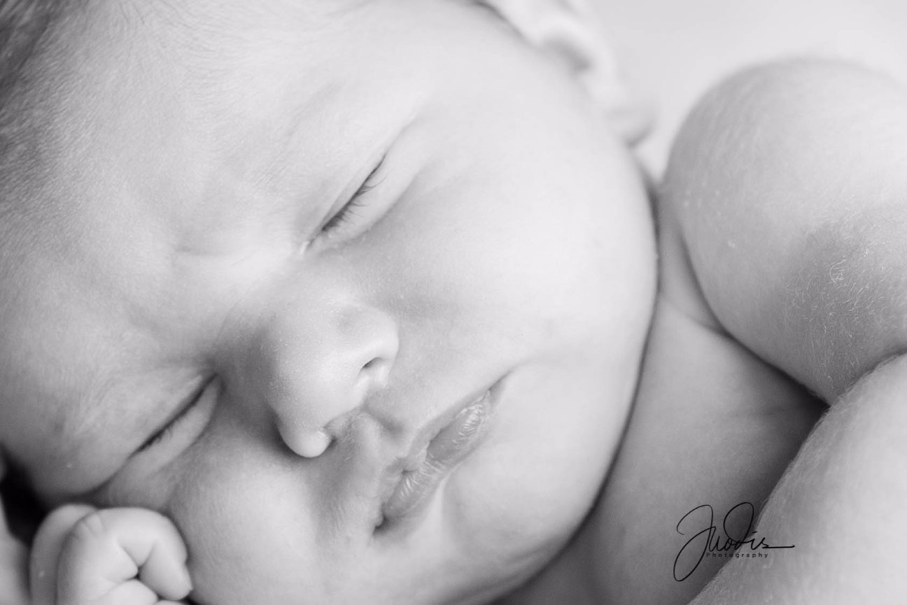 Cake Smash Sessions in Niles and Chicago – Celebrate Your Baby’s First Birthday in Style