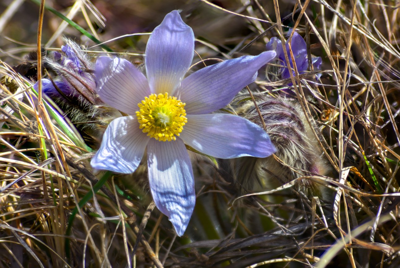 FadaDance - FORM photography and video 