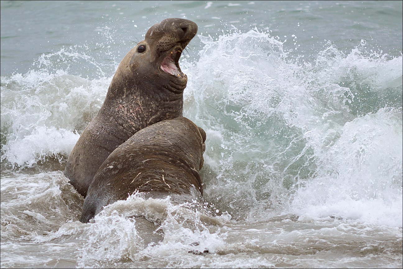 THE SPECTACLE THAT IS YOSEMITE FIREFALL