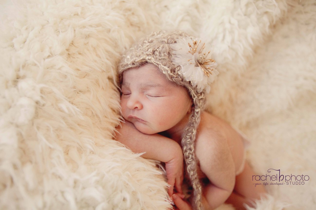 Chicagoland Photographer, Rachel B. Photo Studio LLC, Sydney