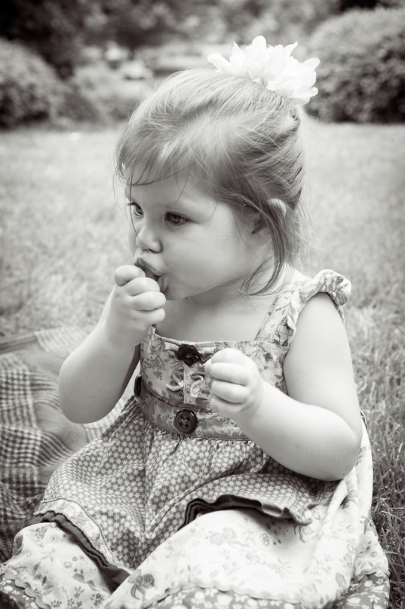 Peterson Children Portraits in Wisconsin - girls picnicing in the garden