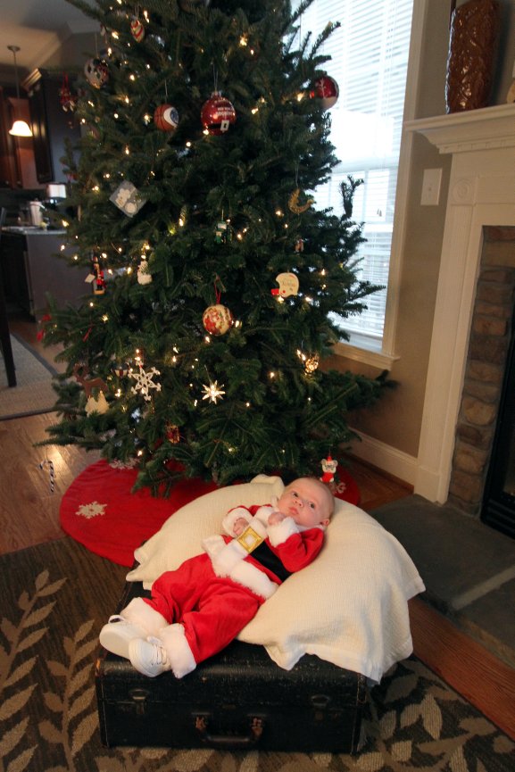 Karington's 1st Birthday Session