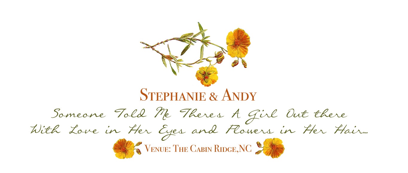 Rich and Alex CA Wedding