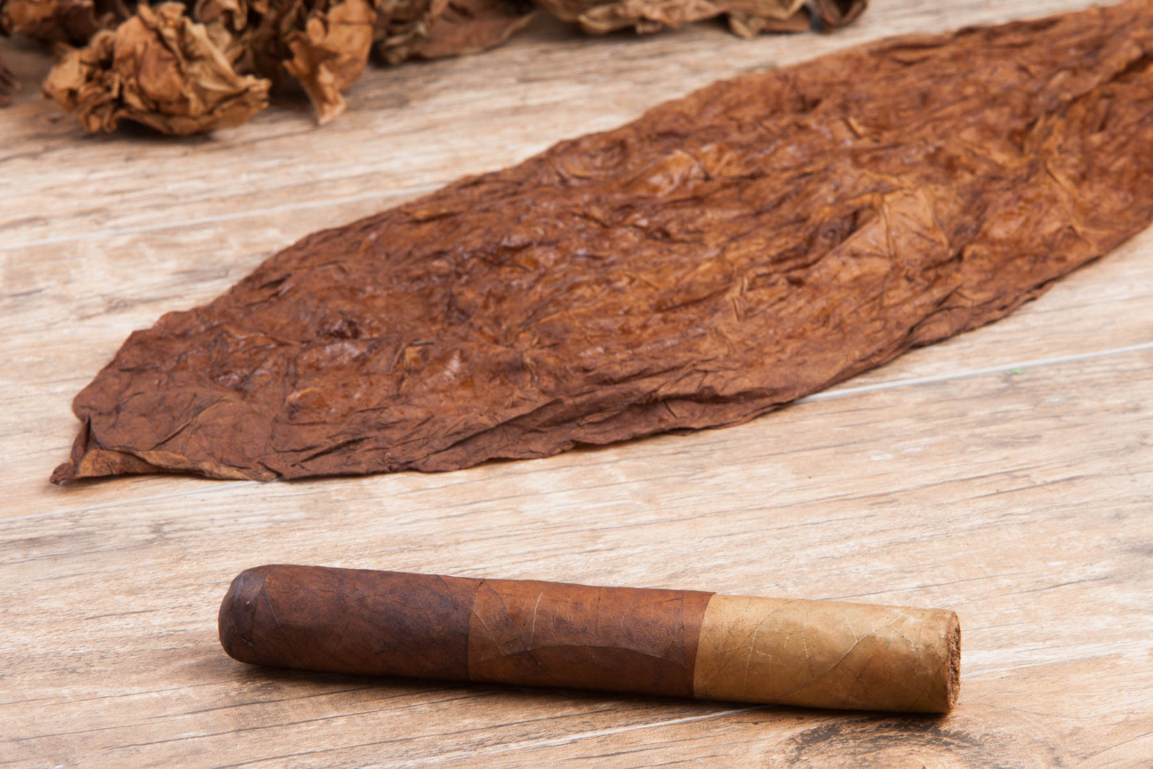 Espresso photography, art and love combined in one shot.