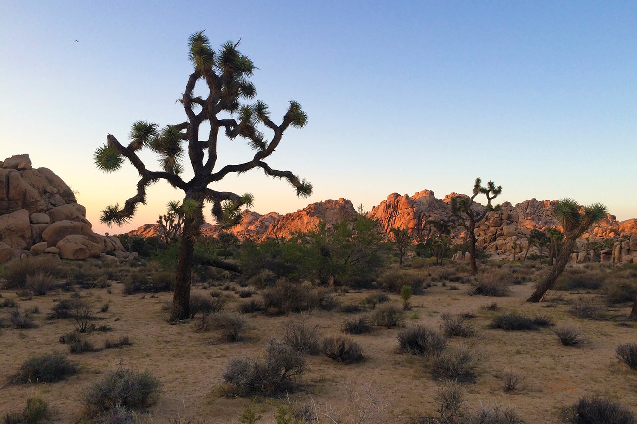 Yellow Wash   16x30 / Custom