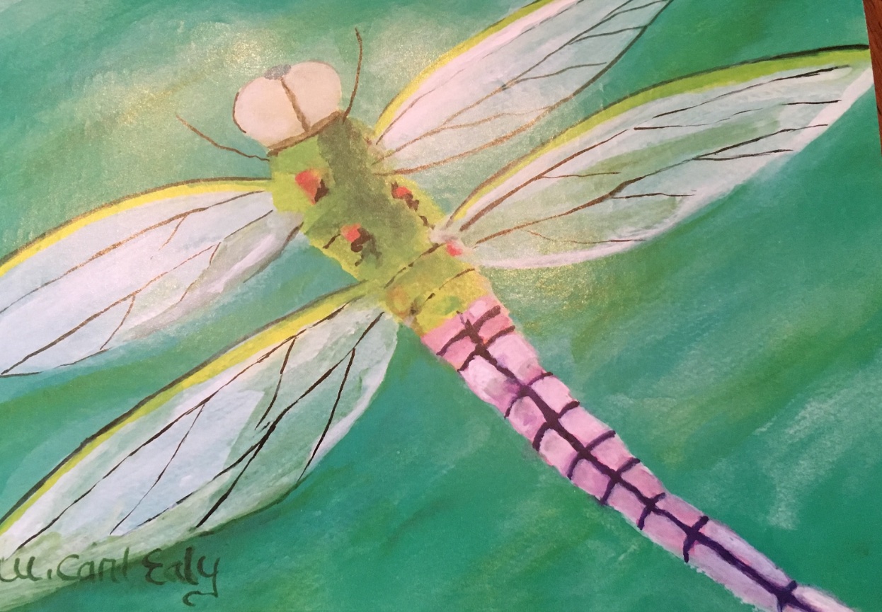 It is such a pleasure to come to your amazing workshop....