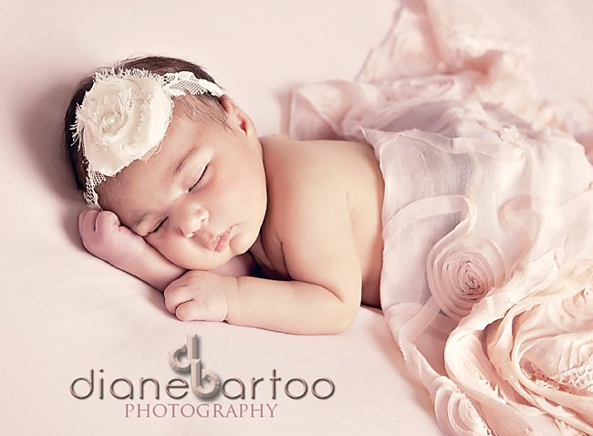 Beautiful newborn pictures riverside