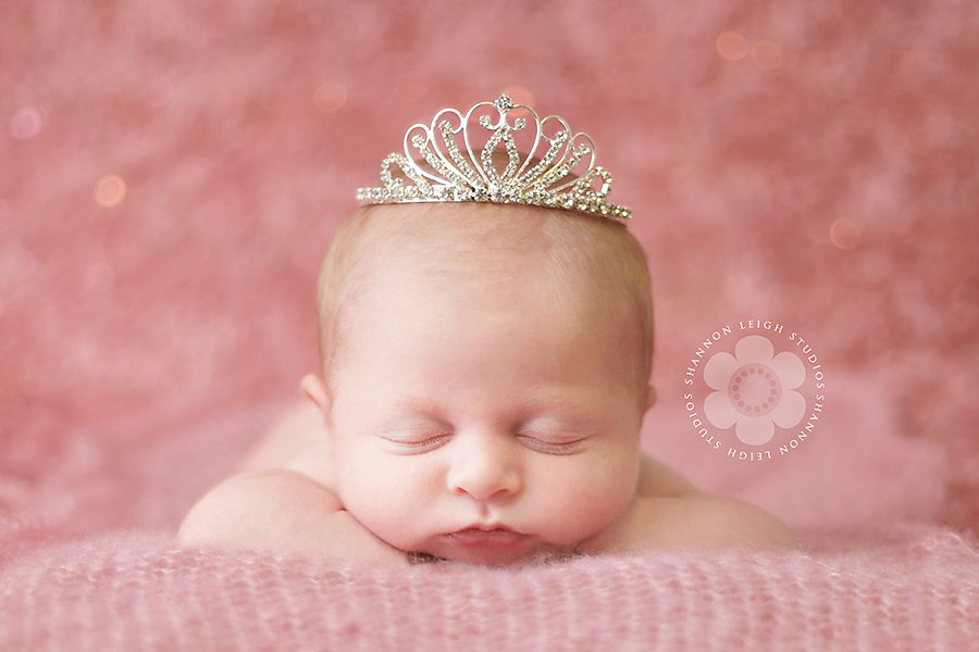 Elena ♥♥ Alpharetta Newborn Photographer