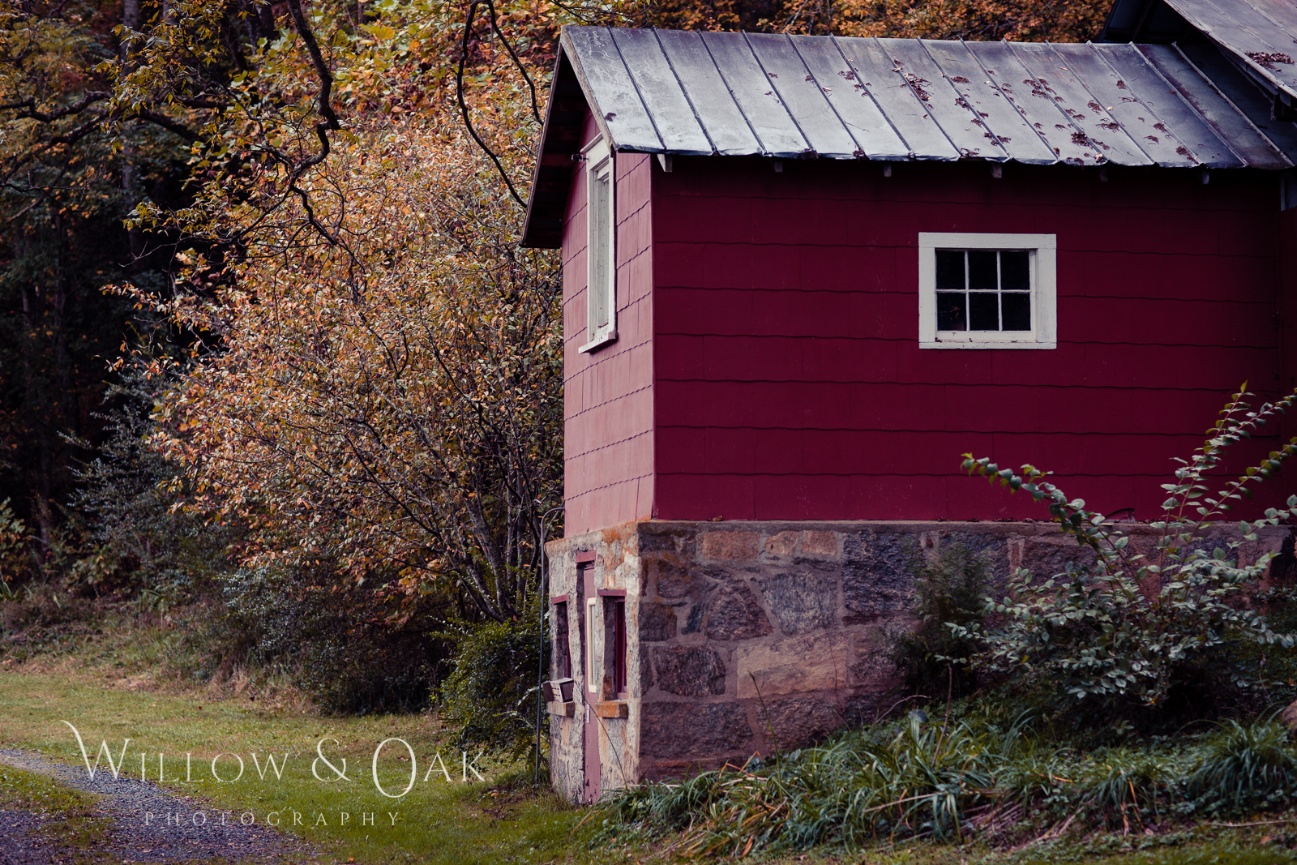 Portrait Session in Summerfield, FL