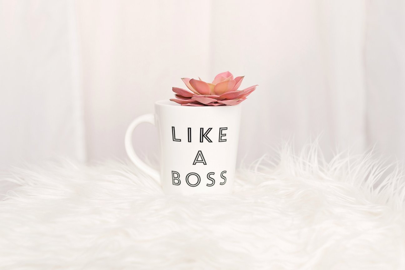 Business Workshops for Photographers