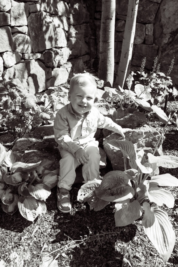 Finn Family Portraits - Avon, Colorado