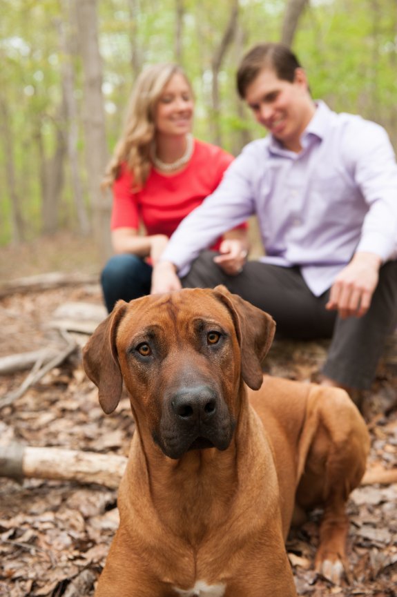 The Front Steps Project