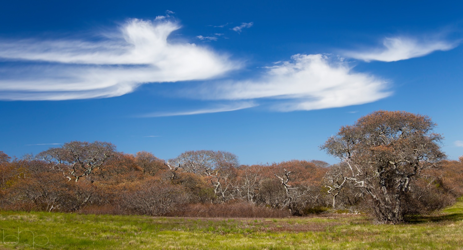 Fall Colors on the Carriage Roads in Acadia National Park