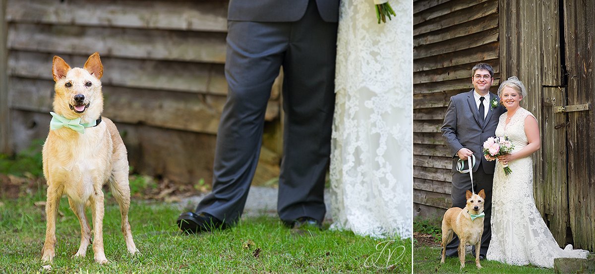 cut dog at wedding with bride and groom