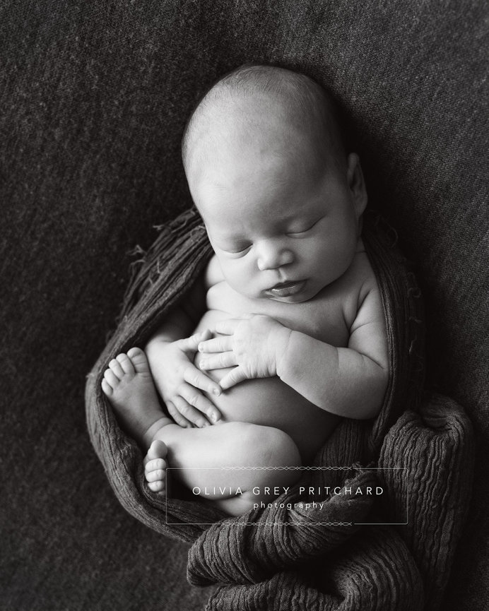 Multi-Generation Family Portraits: a Not-to-Miss Experience!