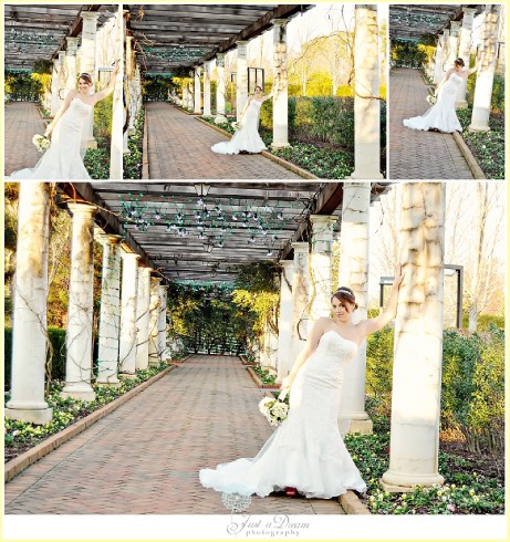 just a dream photography daniel stowe botanical garden bridal portraits photographers photo - Daniel Stowe Botanical Garden Wedding just a dream photography daniel stowe botanical garden bridal portraits photographers photo - Daniel Stowe Botanical Garden Wedding
