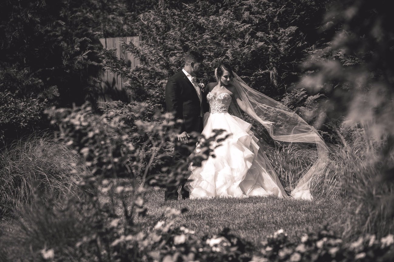 RoseLi and Vinny June 30, 2017