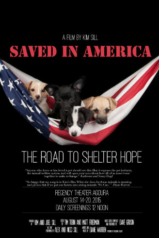 saved in america poster