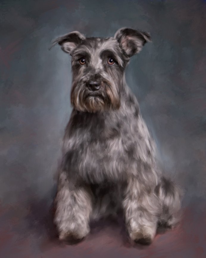 Maxwell - Hand Painted from a Portrait