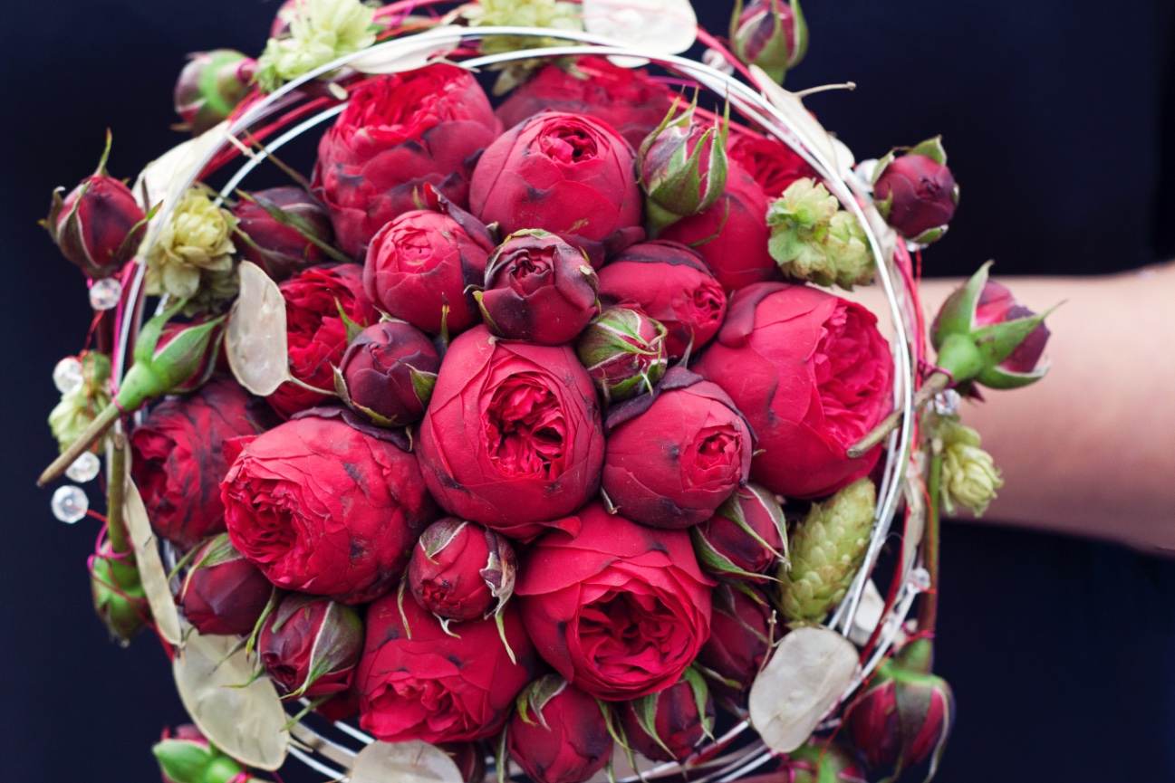 Amy Curtis - Florist