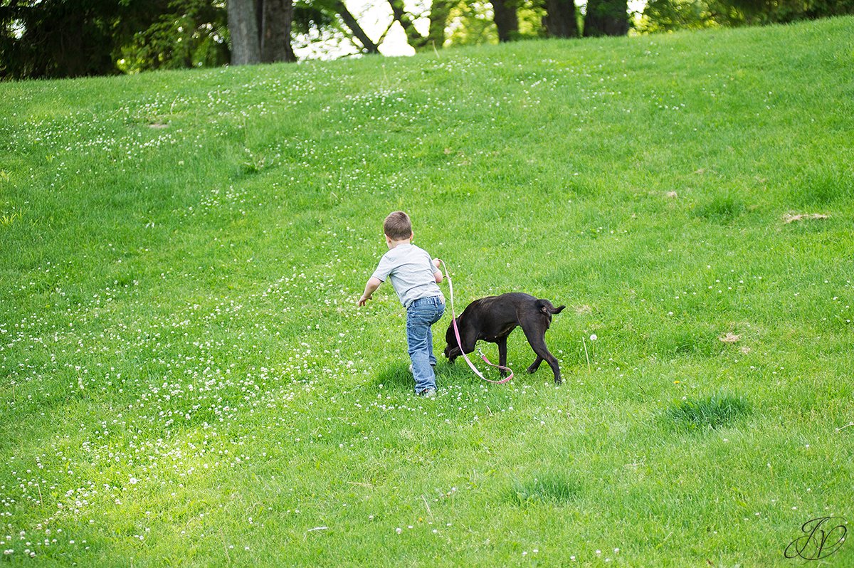 jessica painter photography, albany portrait photographer