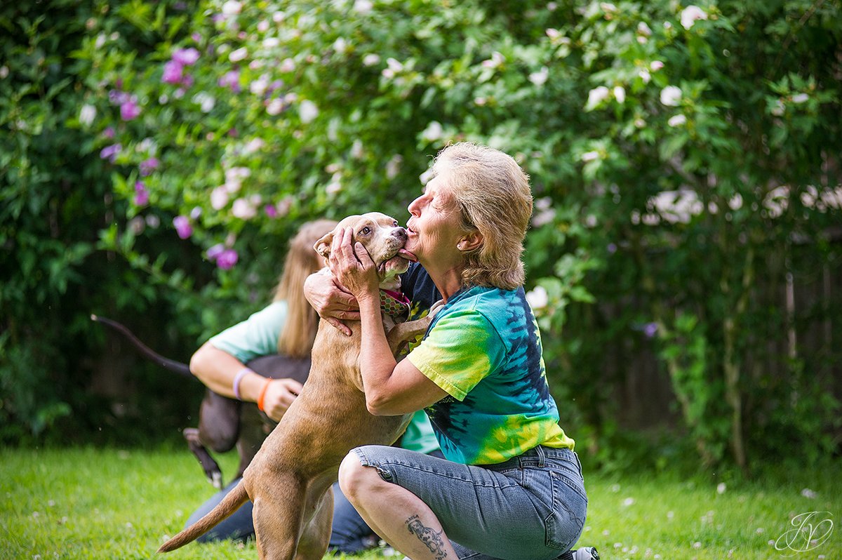 dog rescue, albany pet portrait photographer