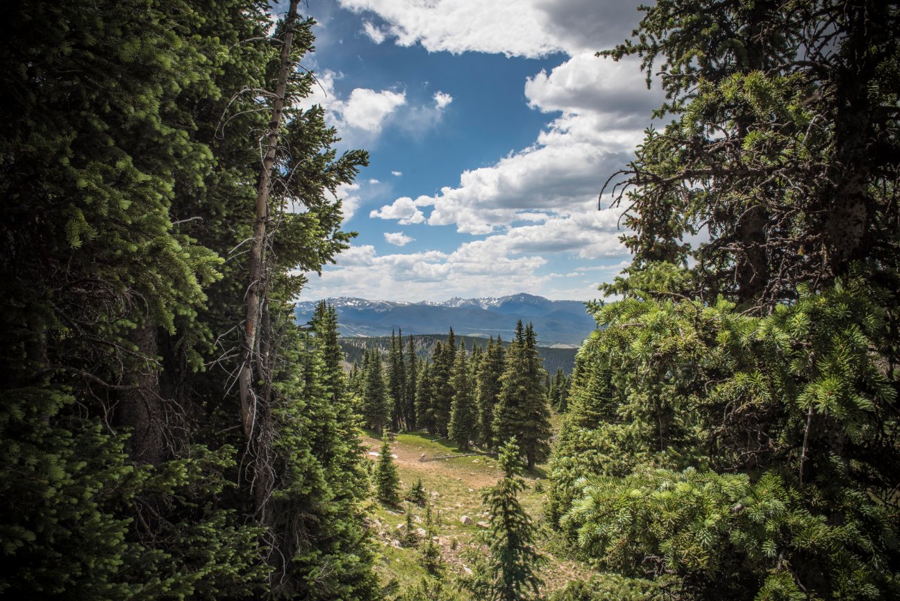 Street, Travel, & Country