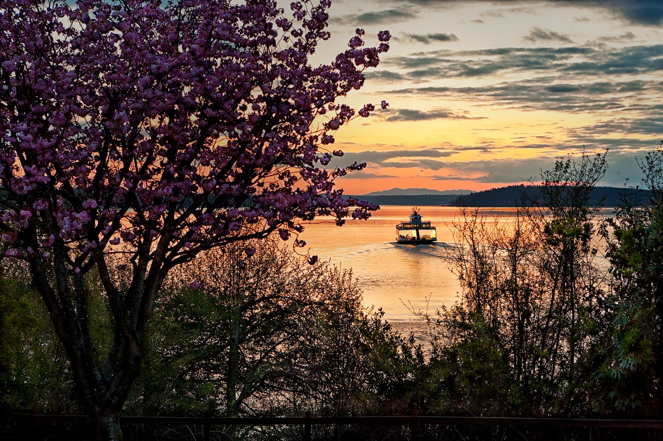 Outgoing Steilacoom Ferry - 110430-674