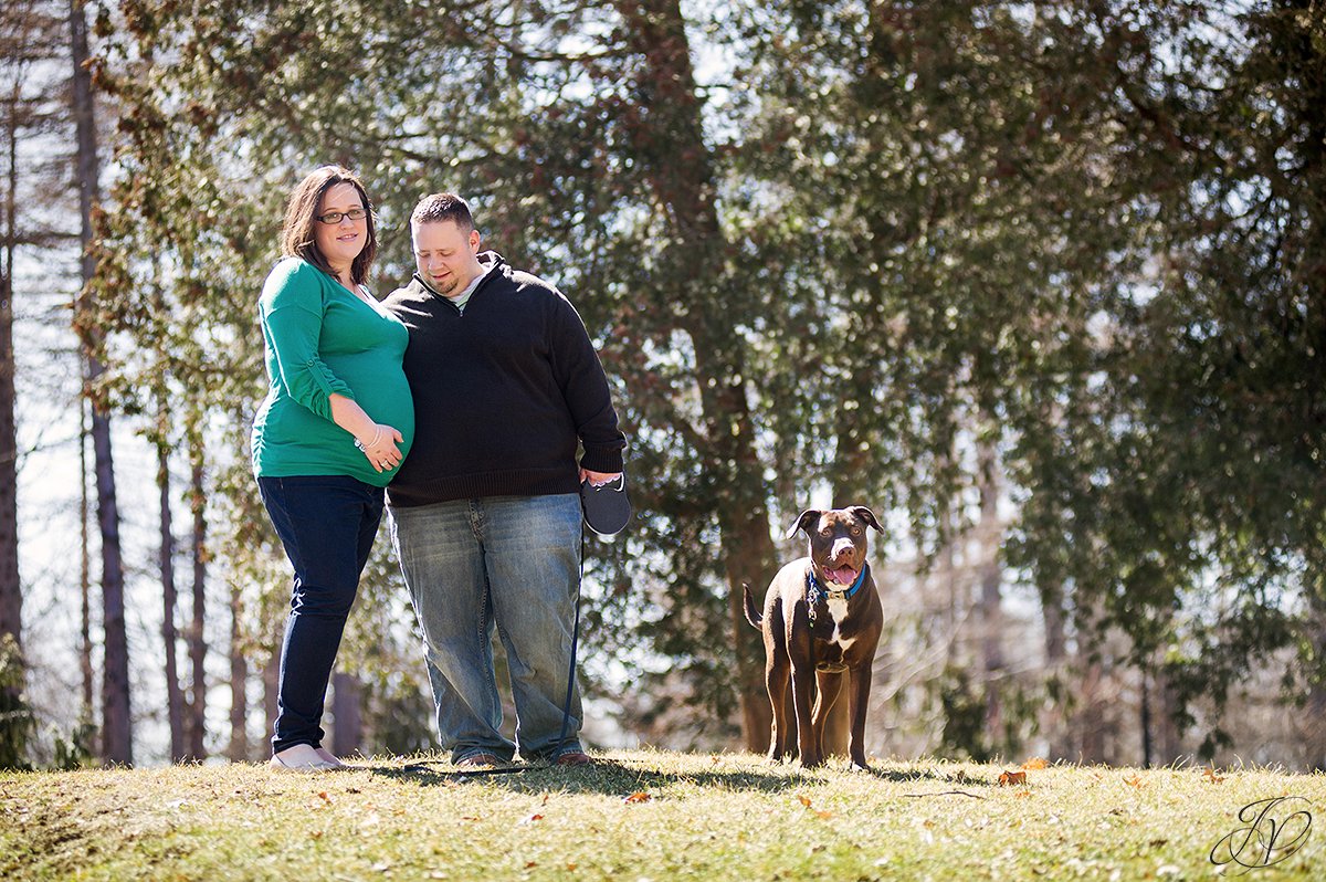 dog and couple in washington park, couple walking dog in washington park, expecting mother and chocolate lab, maternity session washington park, maternity and pet portraits in washington park albany, albany maternity photographer, albany maternity photos