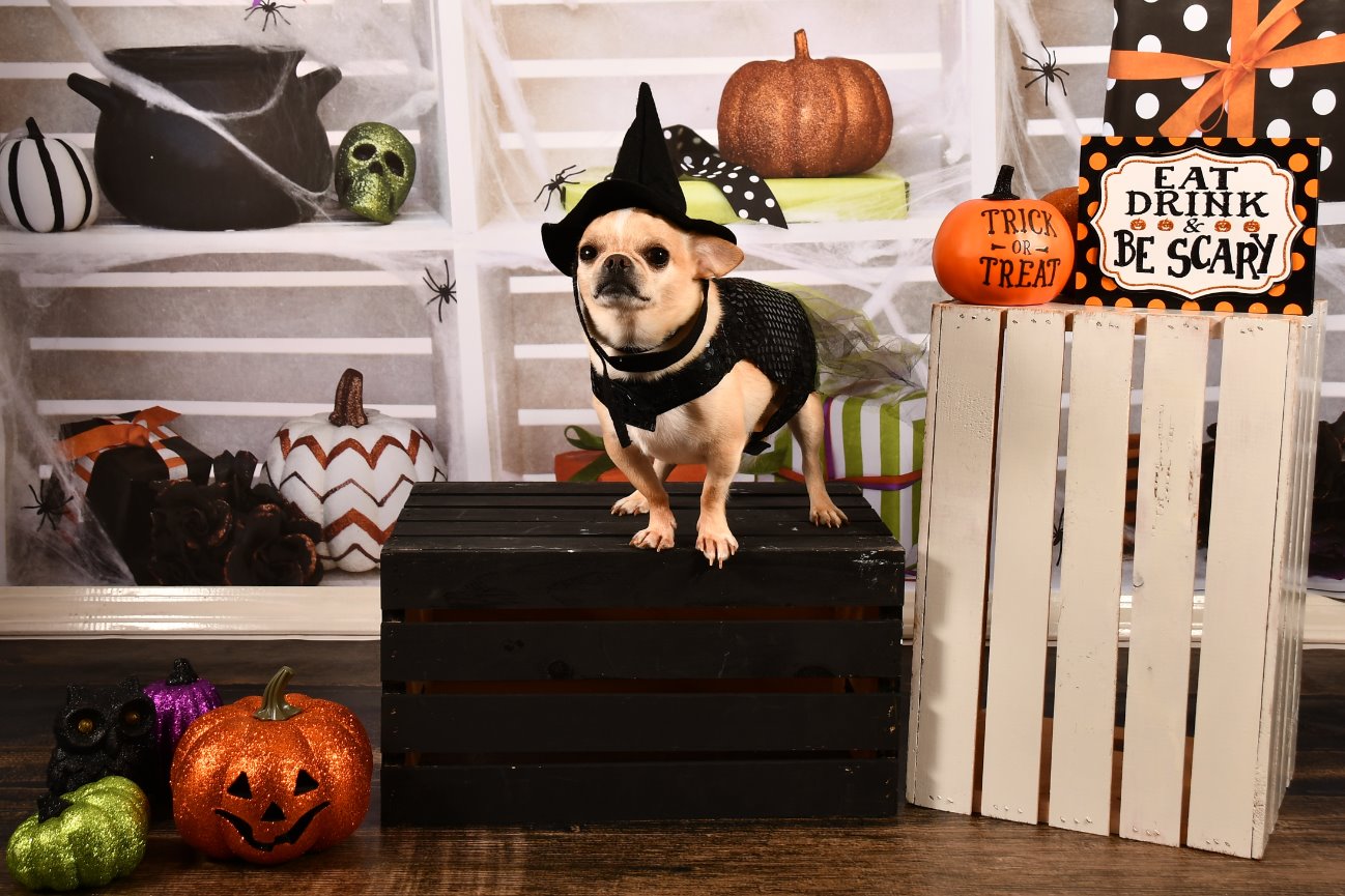 New Year, New... me?