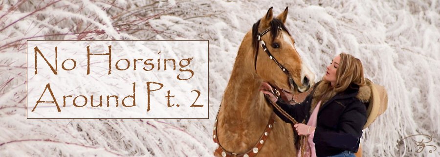 Attracting Seniors to Your Business! by Peg Buckner