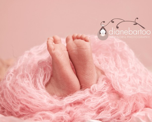 Newborn baby photography Inland Empire