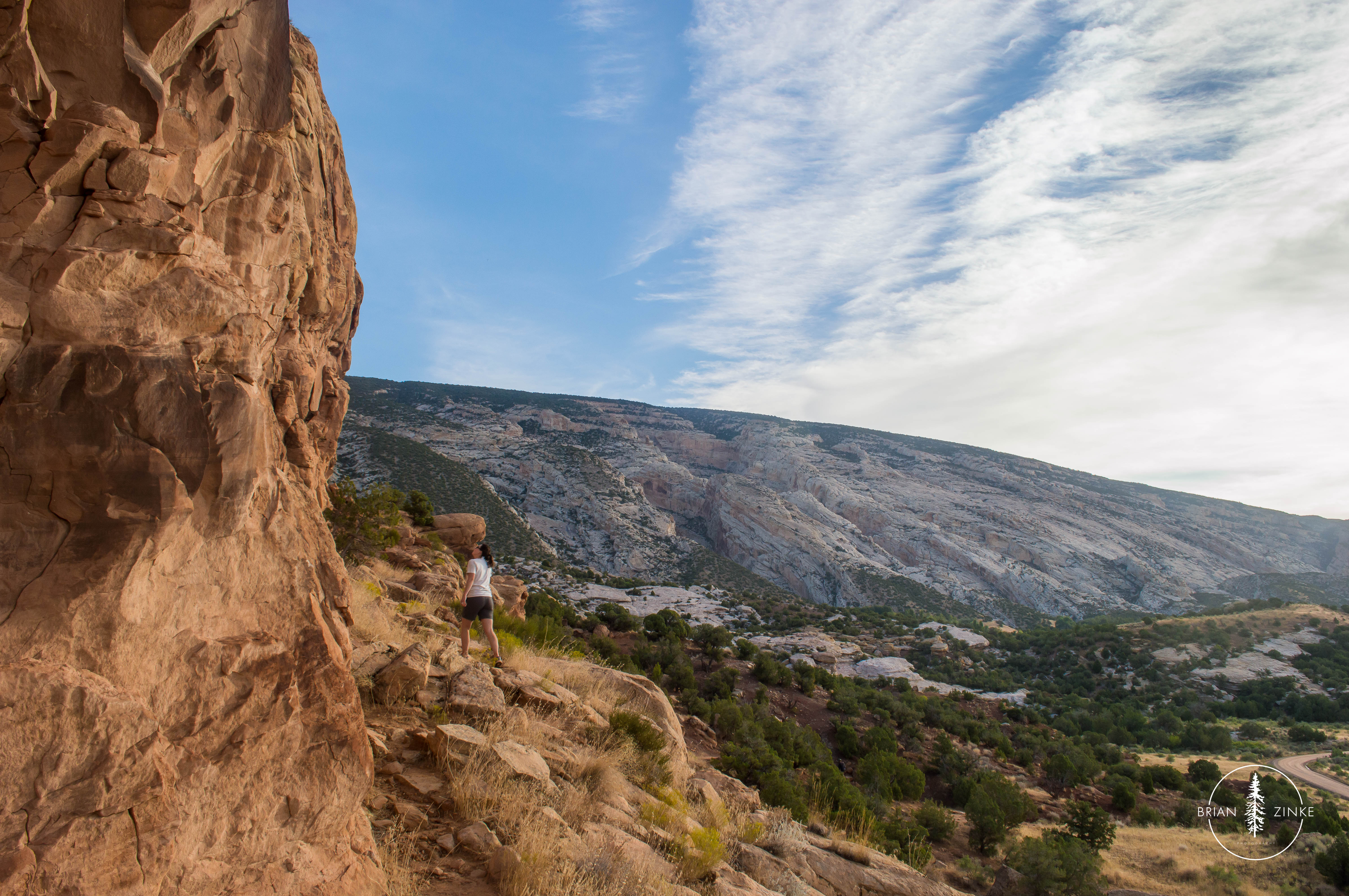 vernal dinosaur national park