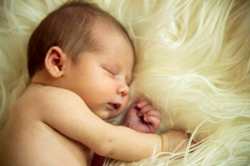 Baby Girl Newborn Portraits - Colorado