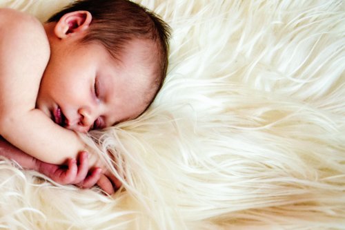 Baby Girl Newborn Portraits - Colorado