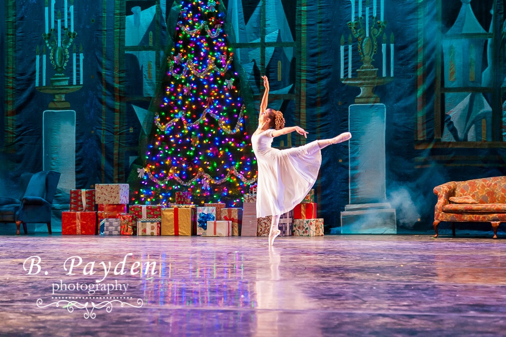 Nutcracker 2014 - Northern Virginia Youth Ballet