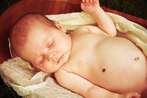 Baby Girl Newborn Portraits - Colorado