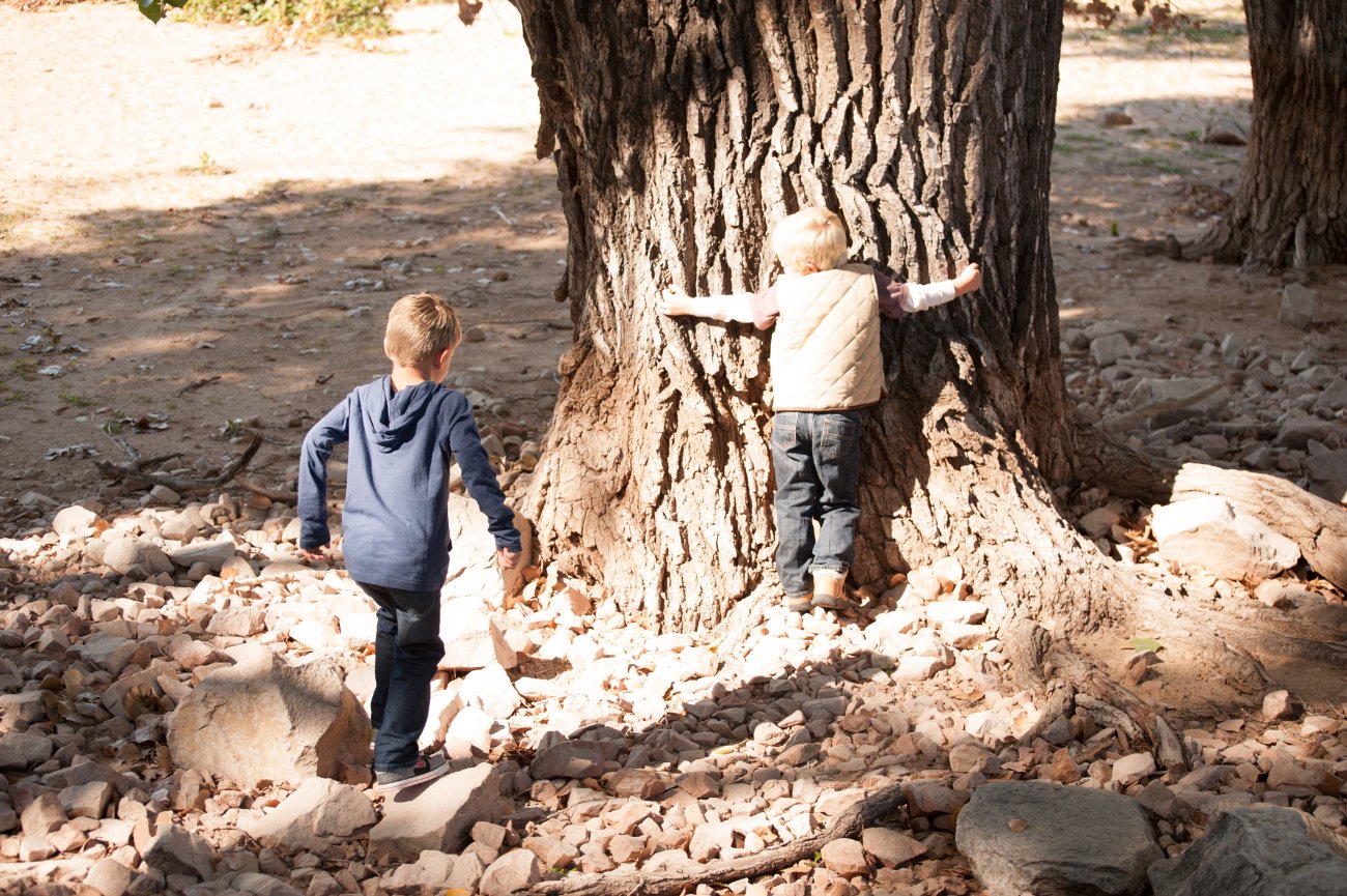 Kent Family Portraits