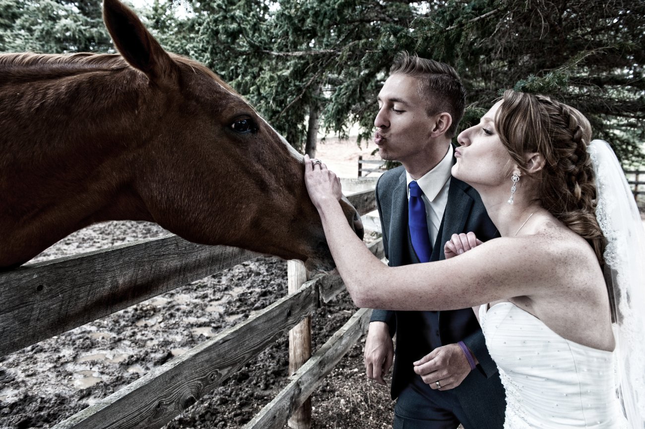 Chris & Laura's wedding in Greeley, Colorado