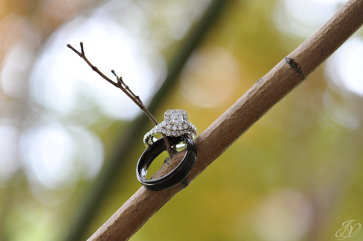 jessica painter photography, unique wedding rings