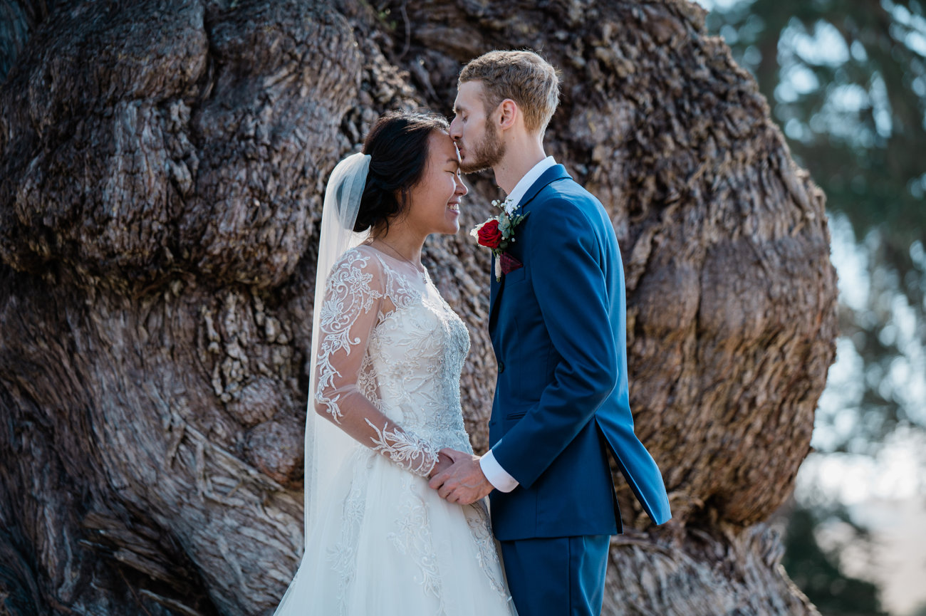 A Stunning Indian-American Wedding at Limerick Lane Cellars in Healdsburg Studio J Portraits