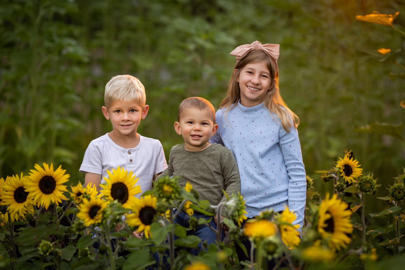 A Stunning Indian-American Wedding at Limerick Lane Cellars in Healdsburg Studio J Portraits