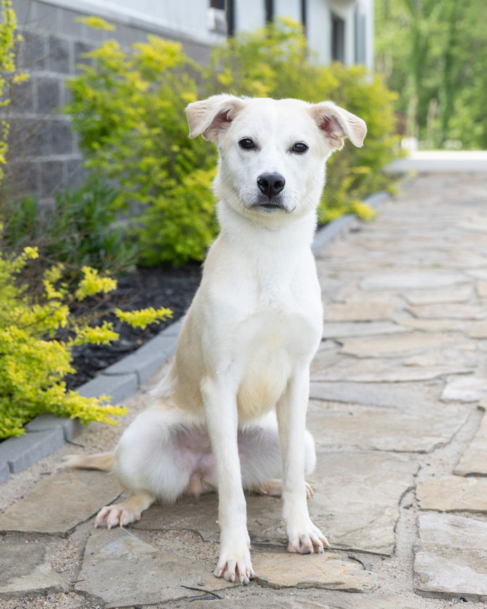 Kicking Off Senior 2026 Season with New Locations & Fresh Faces