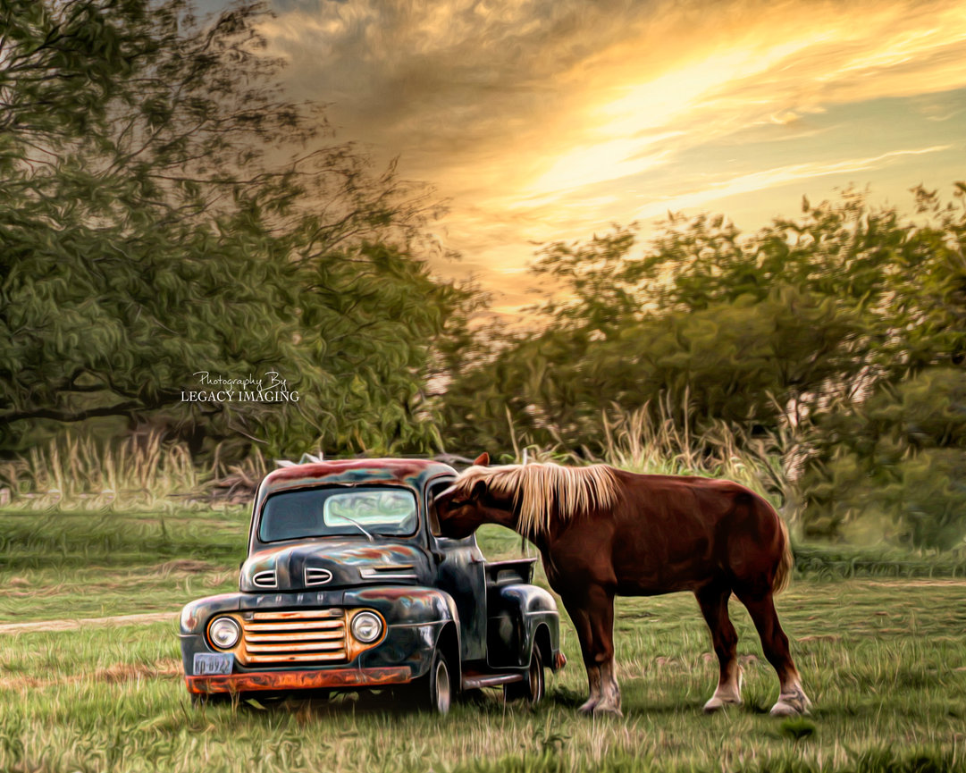 Legacy Ranch & Rescue