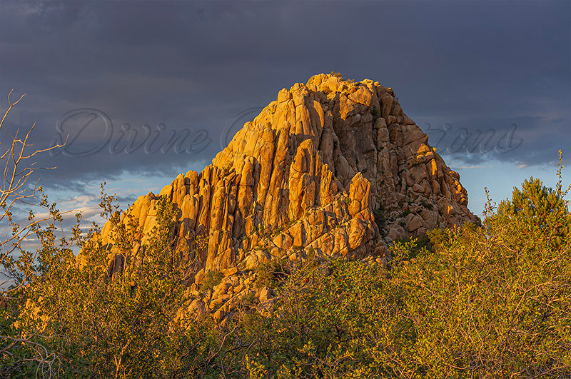 Kaiyah Takota The Final Chapter - A Novel Husky: Chapter 48