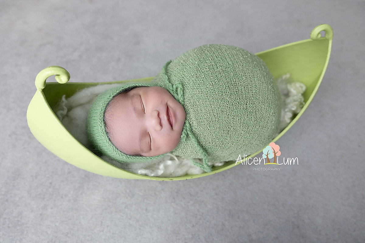 2025 Black Friday Special at Alicen Lum Photography