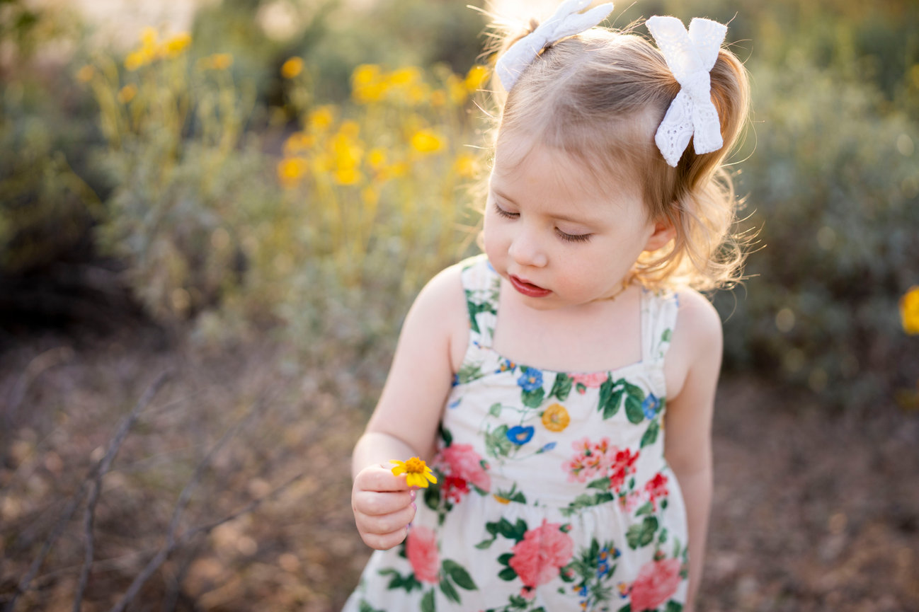 WOOD FAMILY - GILBERT, AZ