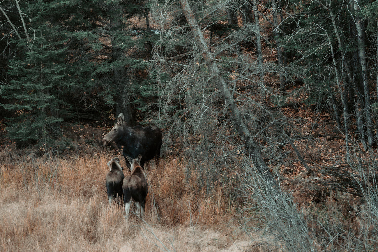 Closing Beautiful Chaos Photography