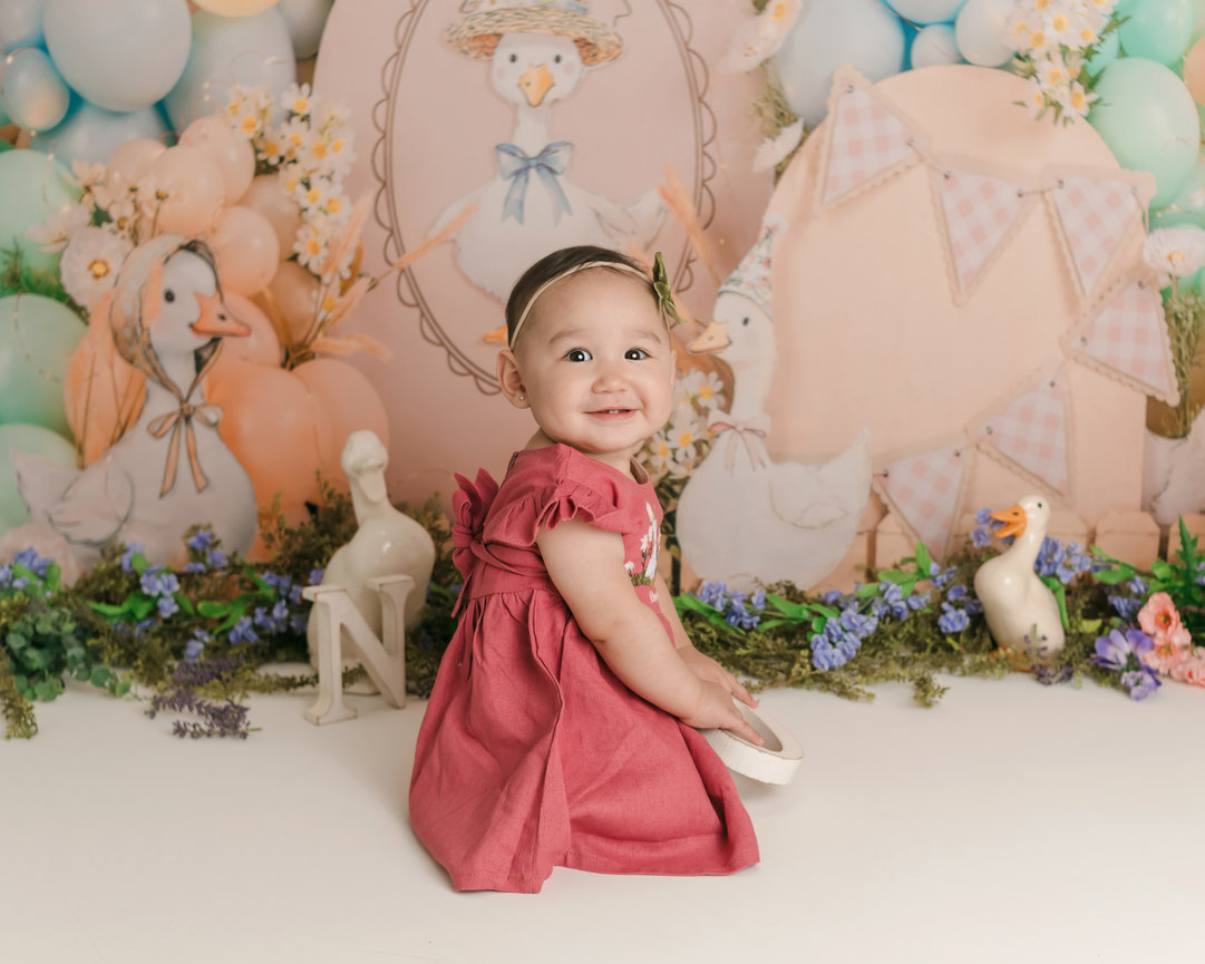 One Silly Goose Smash & Splash