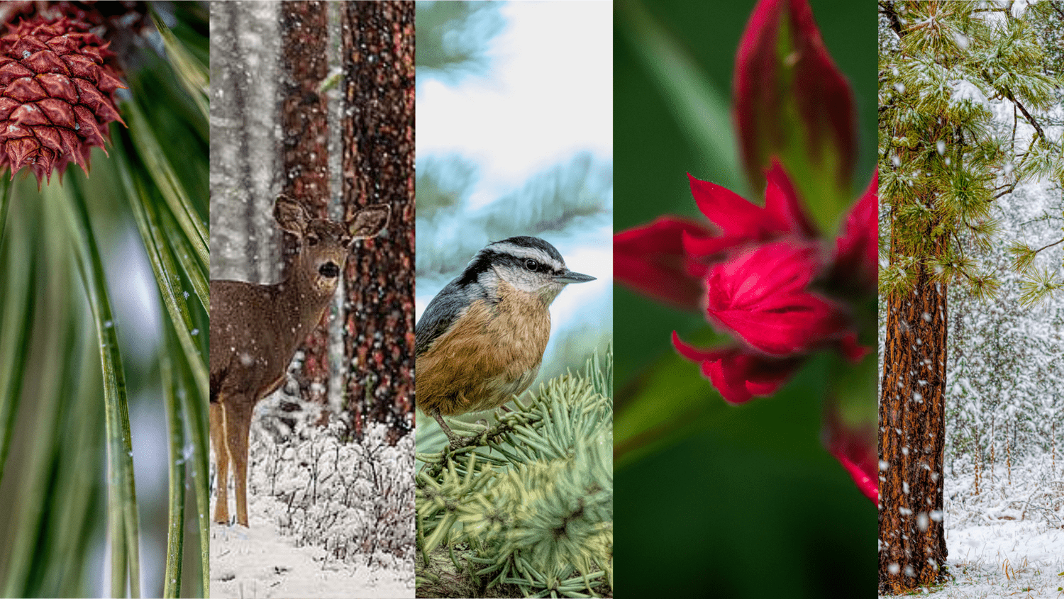 What to expect in a Photo Story Branding Session